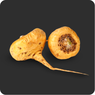 Raiz de maca